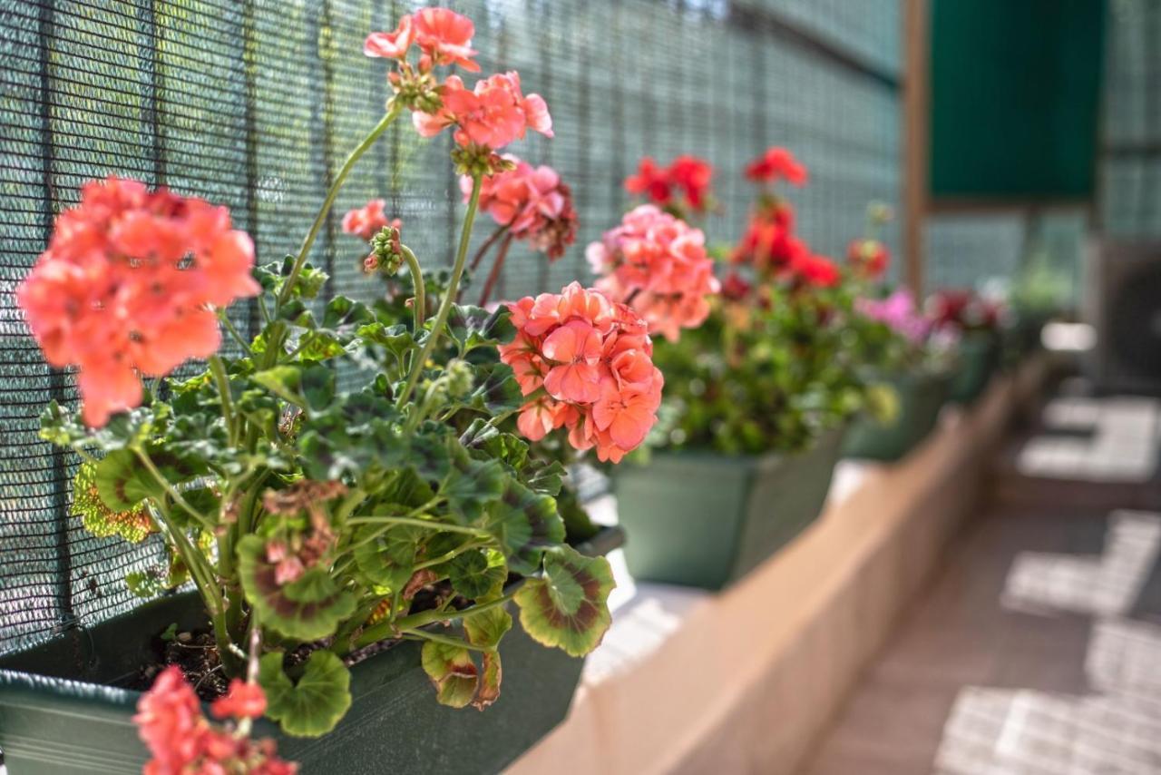 Apartament Garden House Vale Rzym Zewnętrze zdjęcie